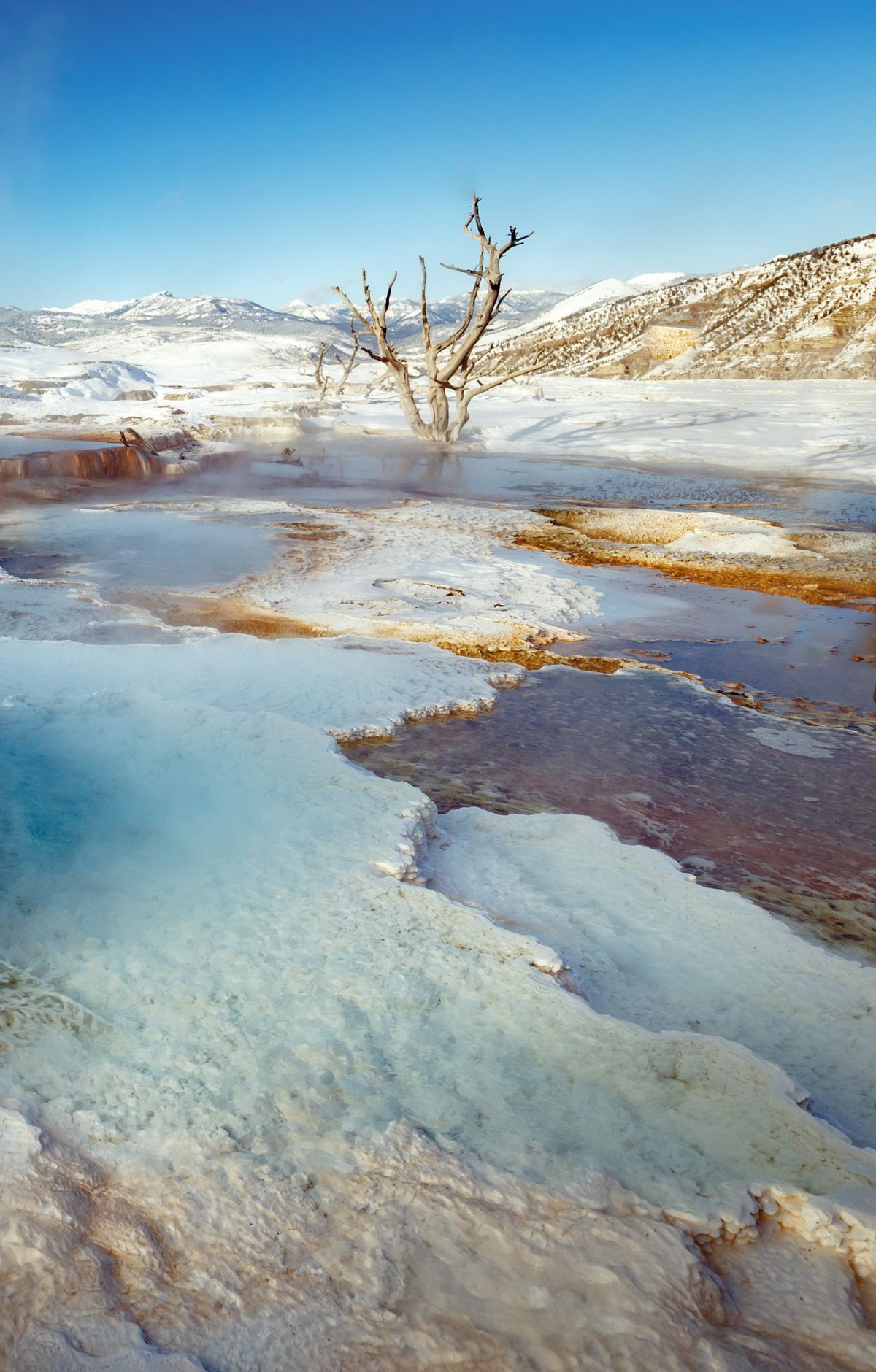 Snow in Any Month: Packing for Yellowstone, Yellowstone National Park