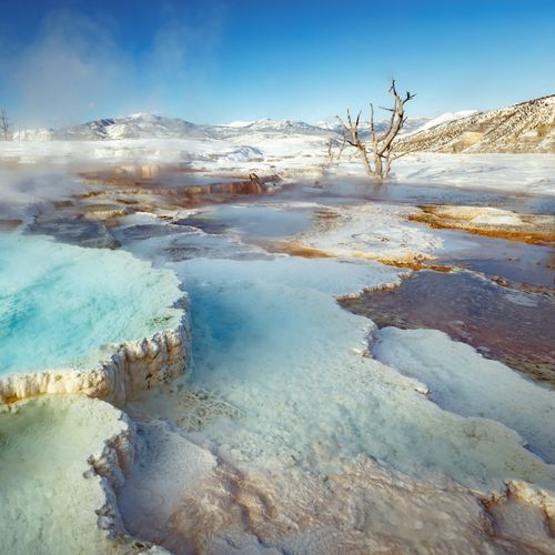 Mammoth Hot Springs