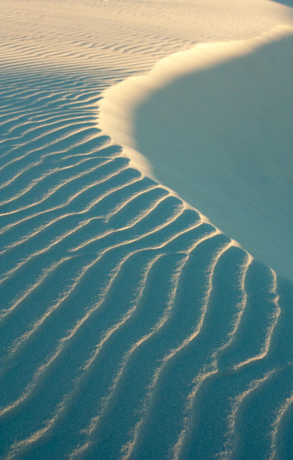 The World's Largest Gypsum Dunefield, White Sands National Park