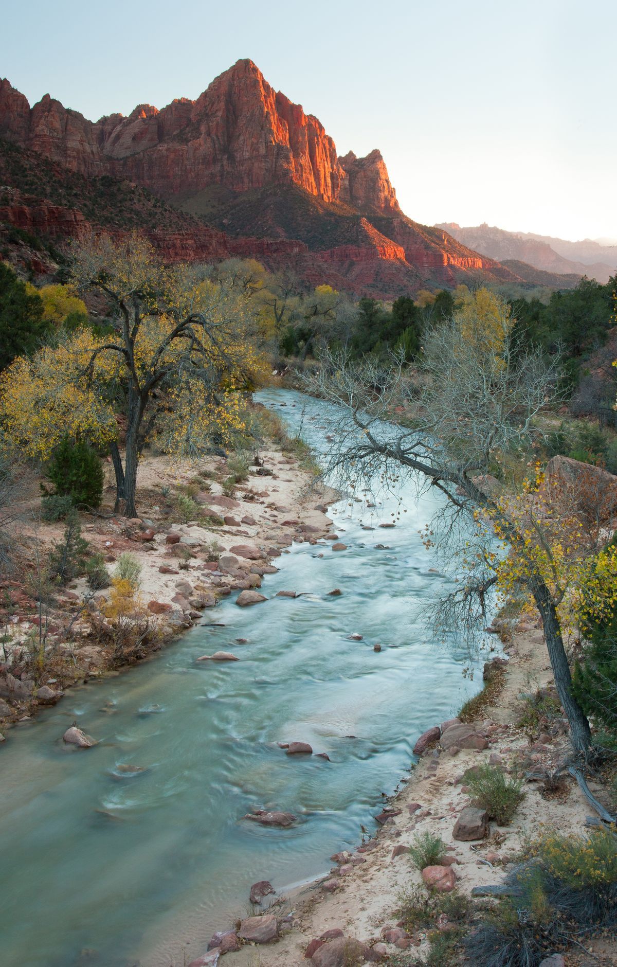 Zion - Gallery thumbnail 10