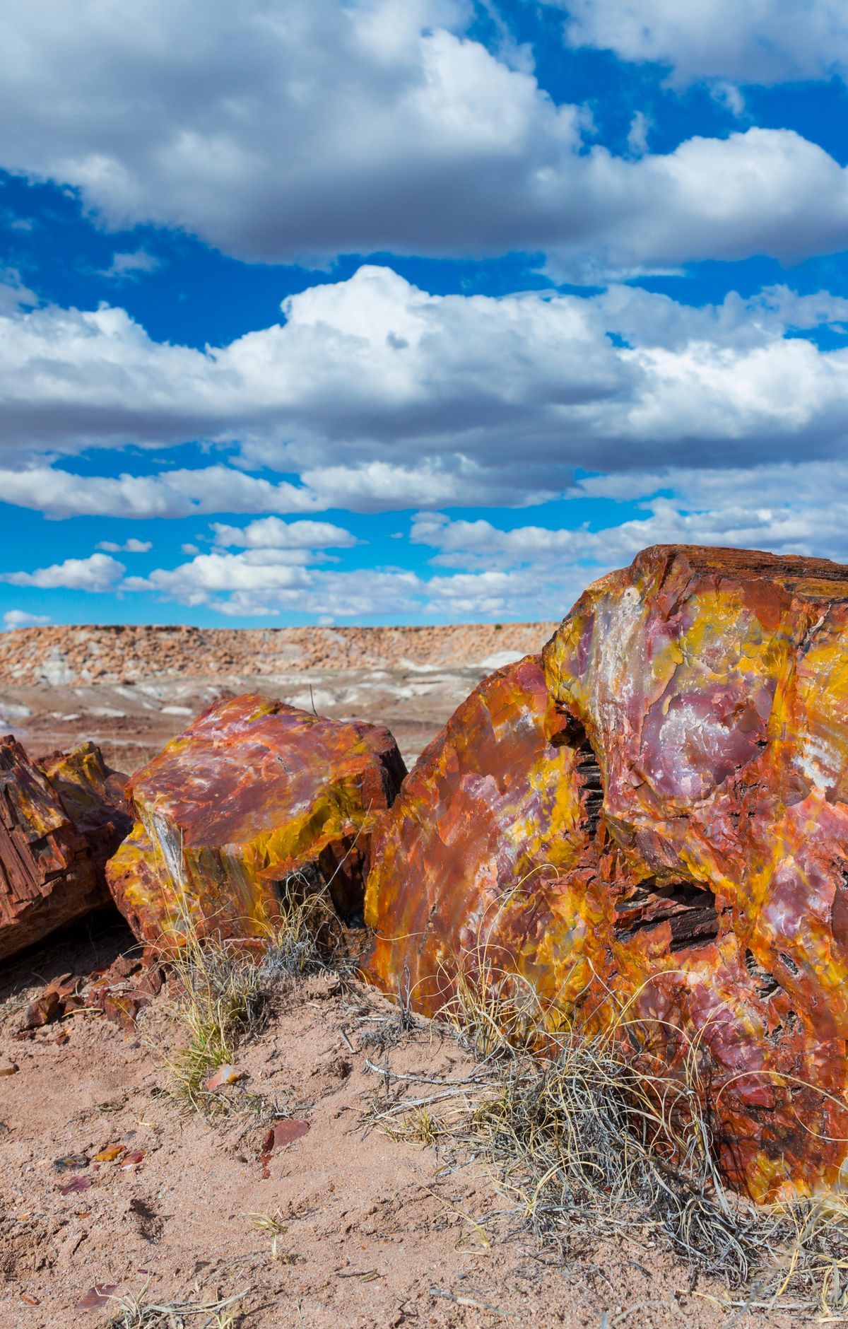 How Triassic Logs Became Rainbow Stone, Petrified Forest National Park