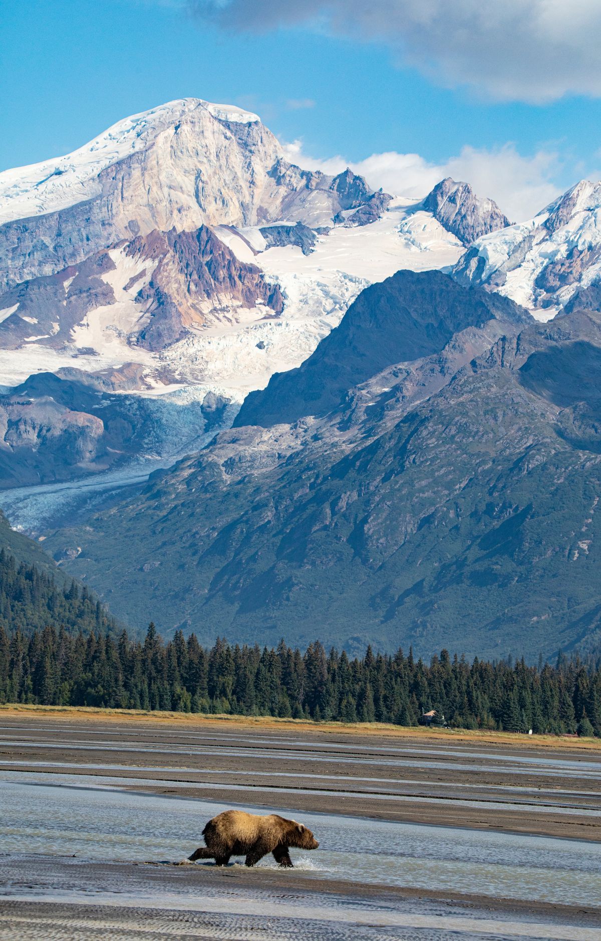 Redoubt and Iliamna: Lake Clark's Steaming Volcanoes, Lake Clark National Park & Preserve