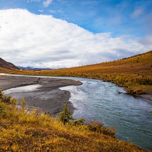 Savage River