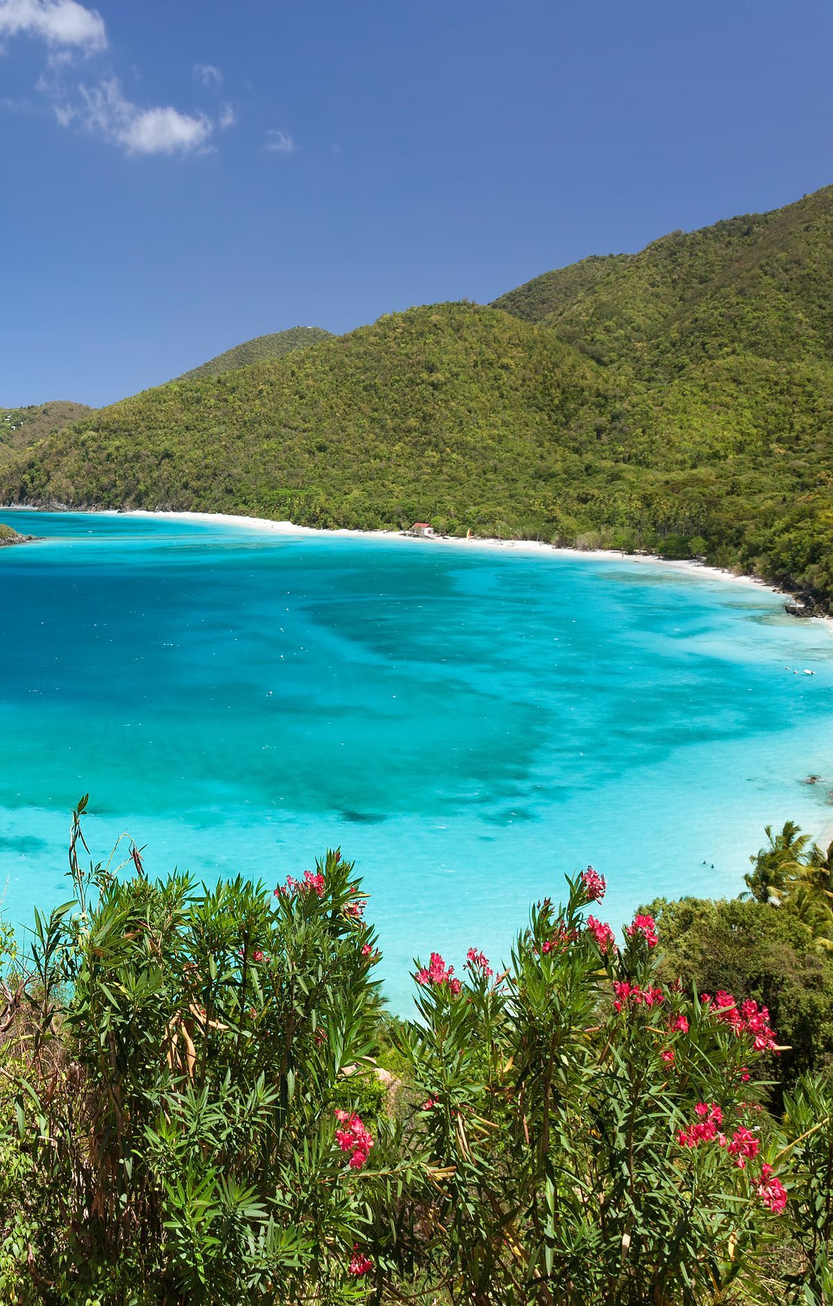 Kayaking to Whistling Cay's Ruins and Reefs, Virgin Islands National Park
