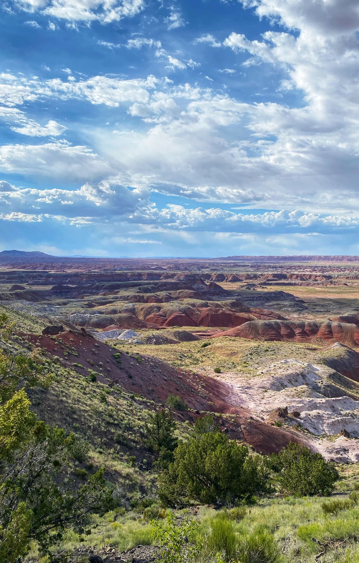 Driving the 28-Mile Road North to South, Petrified Forest National Park