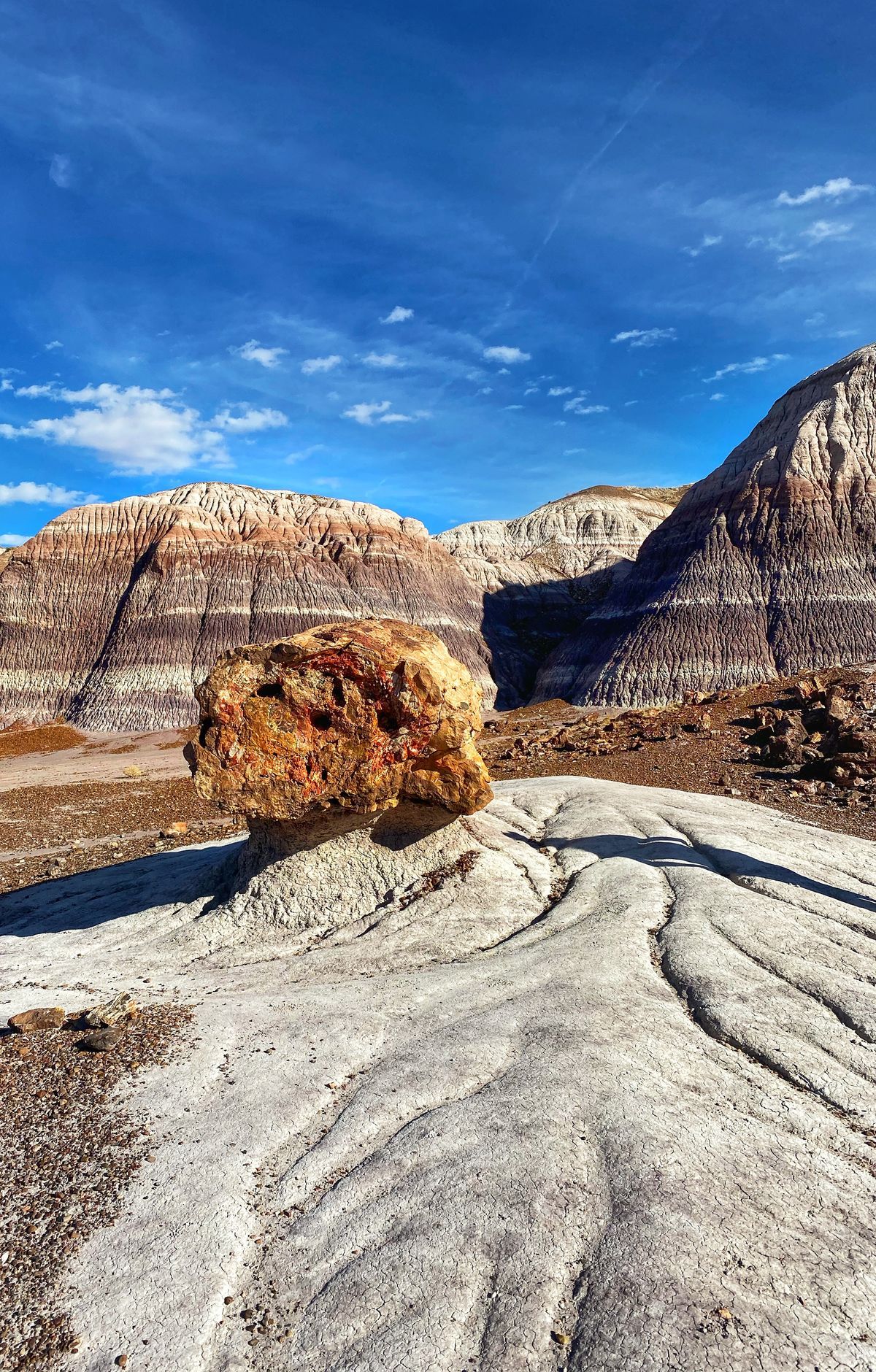 Backpacking the Petrified Forest Wilderness, Petrified Forest National Park