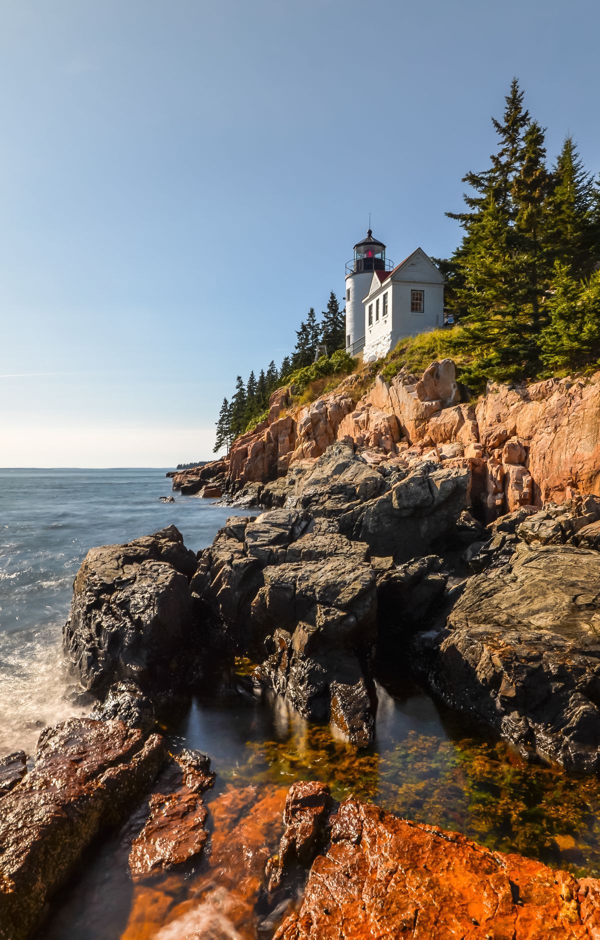 Acadia National Park portrait view