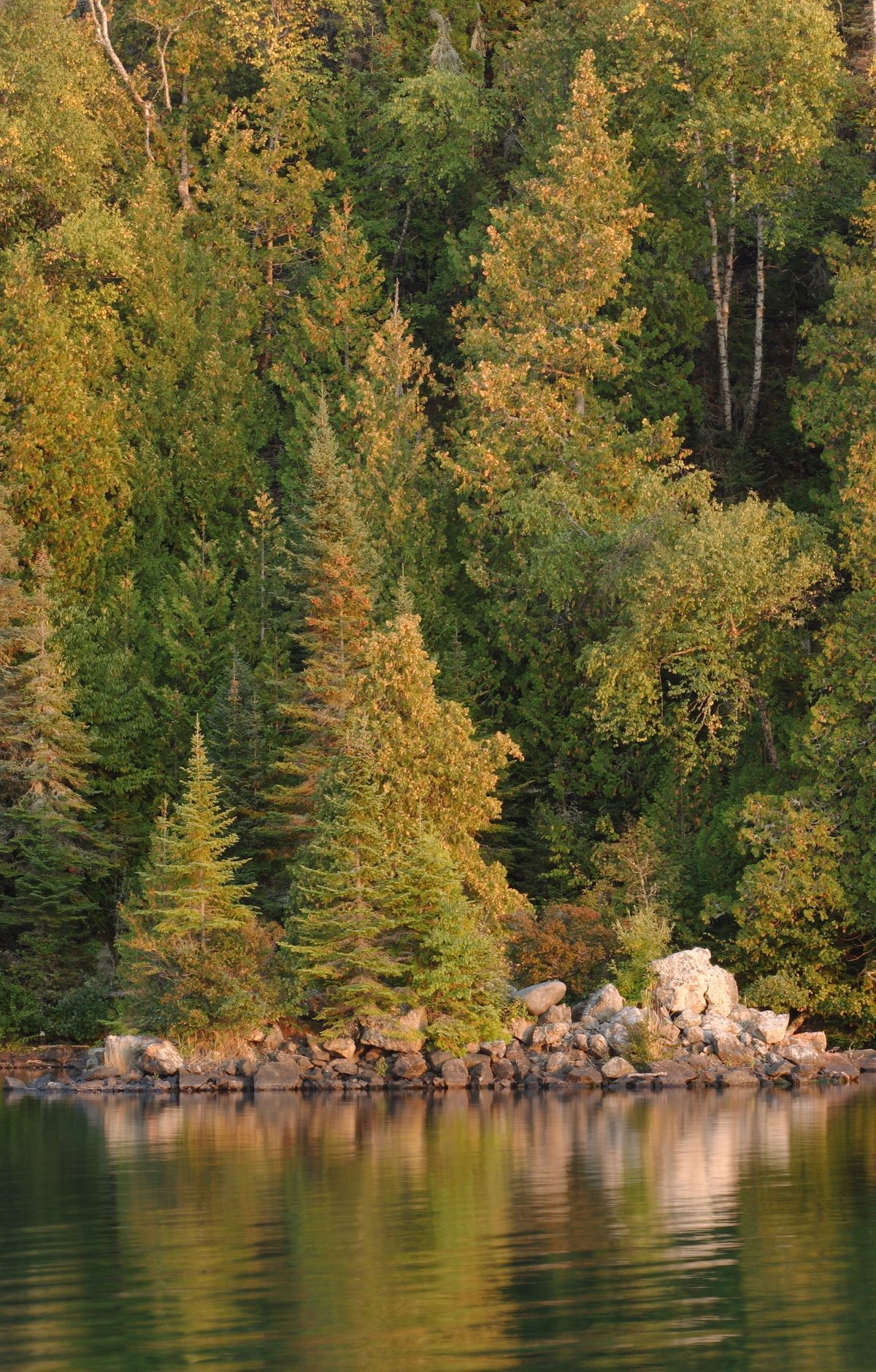 Isle Royale - Gallery thumbnail 5