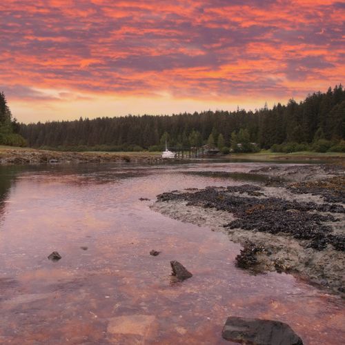 Bartlett Cove