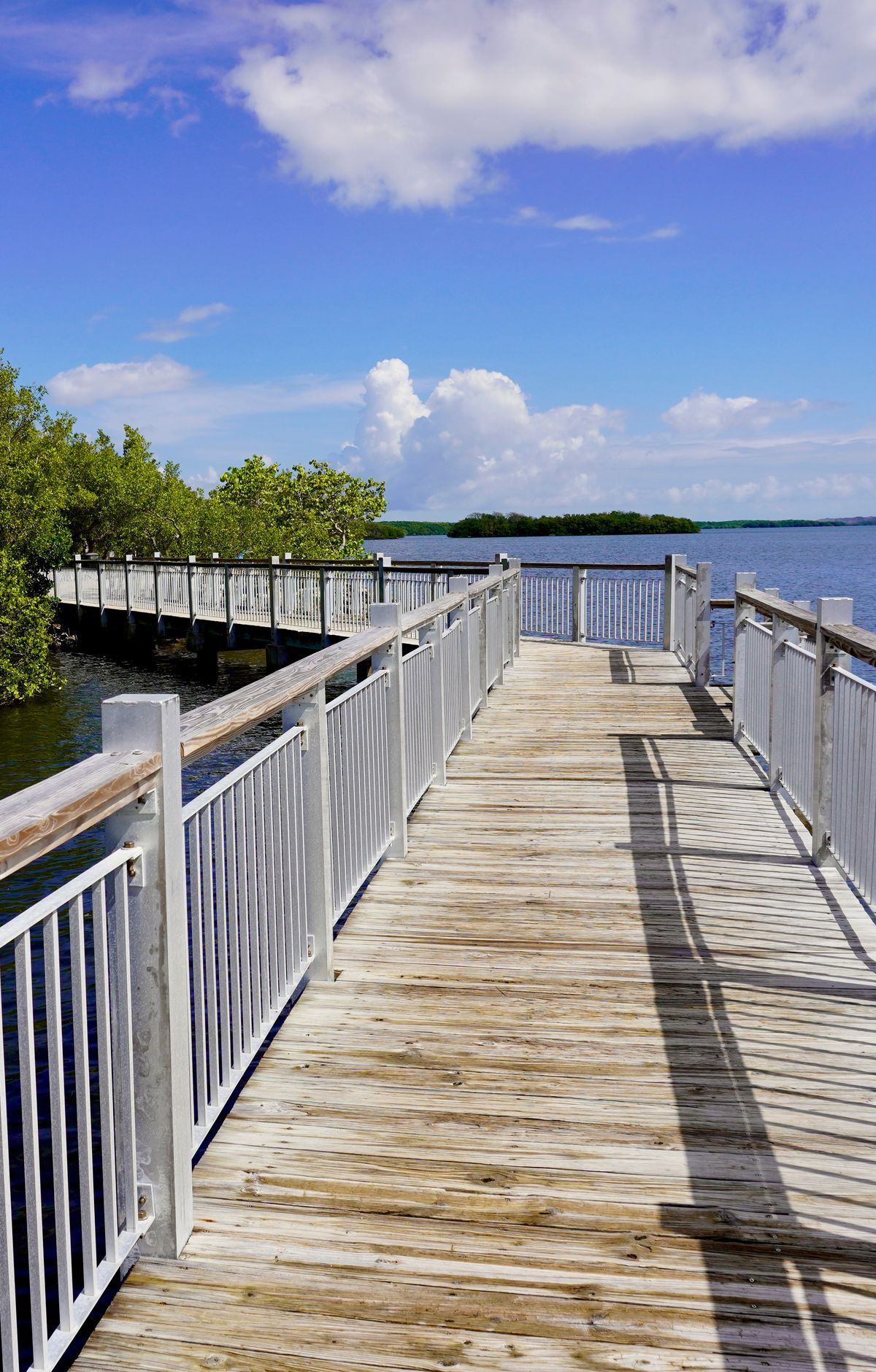 Four Ecosystems from Mangroves to Reef, Biscayne National Park