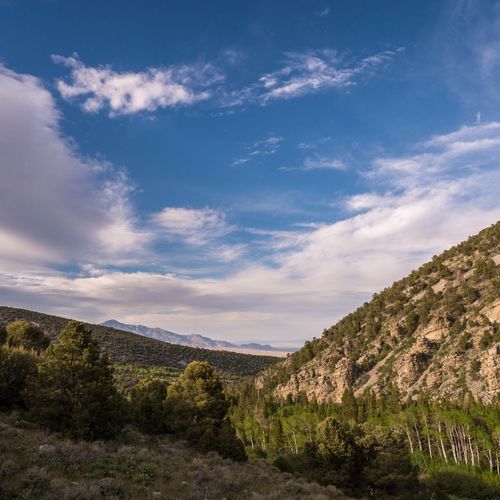 Baker Creek