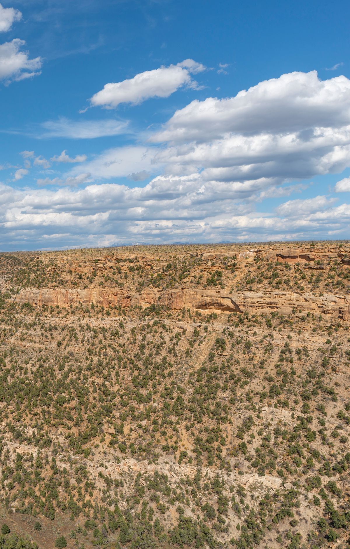 Petroglyph Point and Spruce Canyon Trails, Mesa Verde National Park