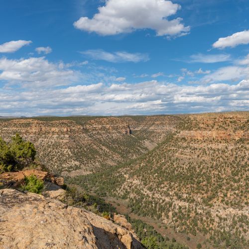 Chapin Mesa