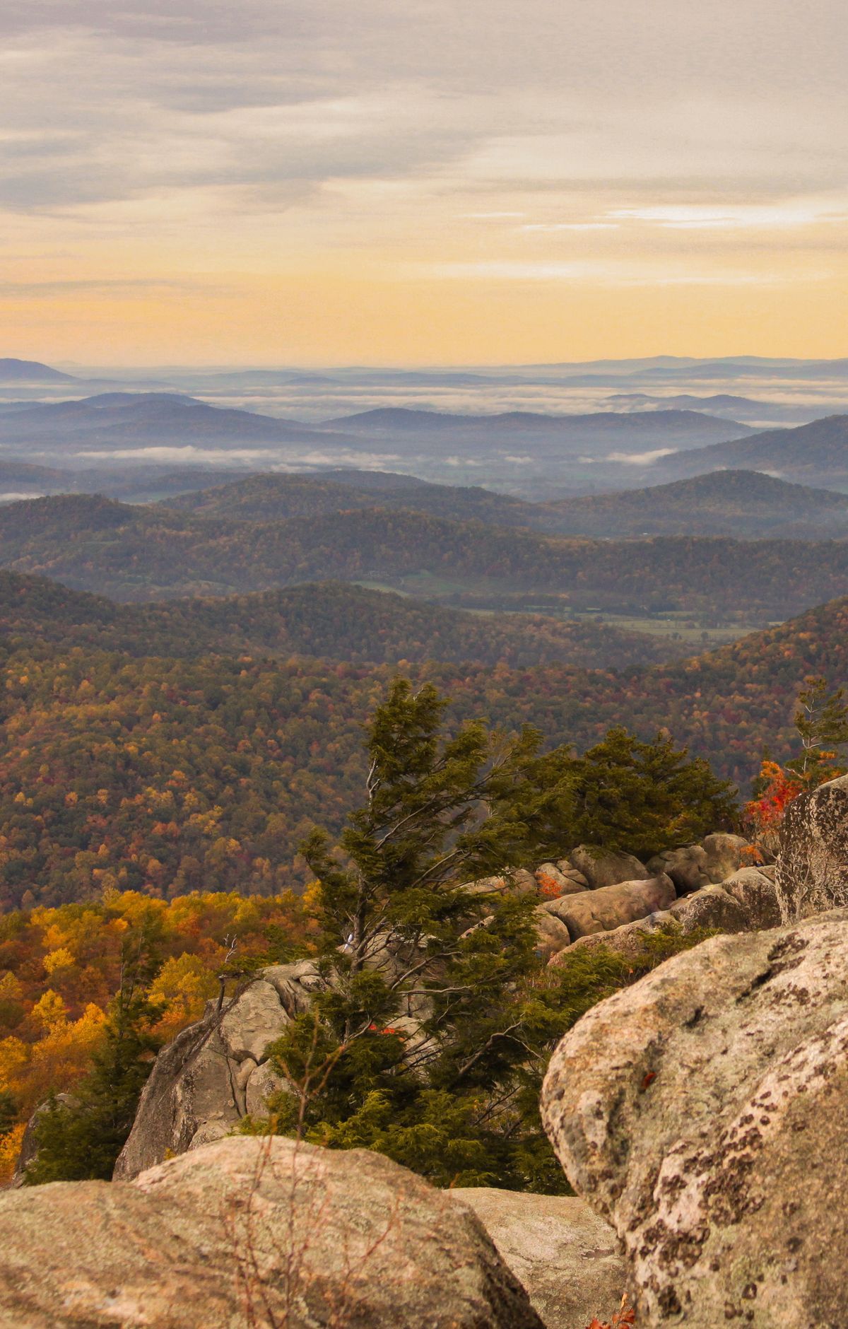 Timing Peak Fall Foliage on Skyline Drive, Shenandoah National Park