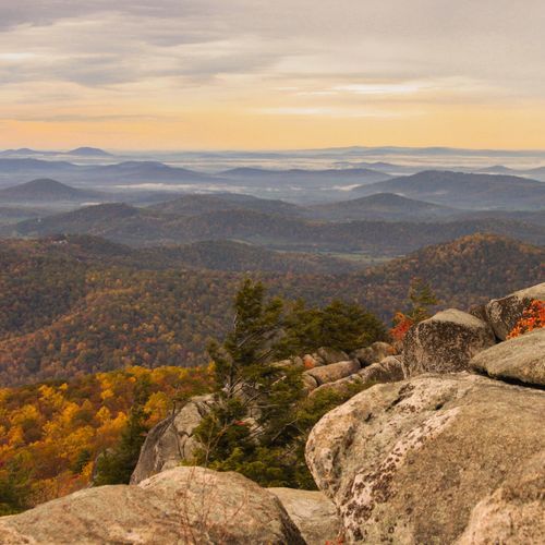 Shenandoah