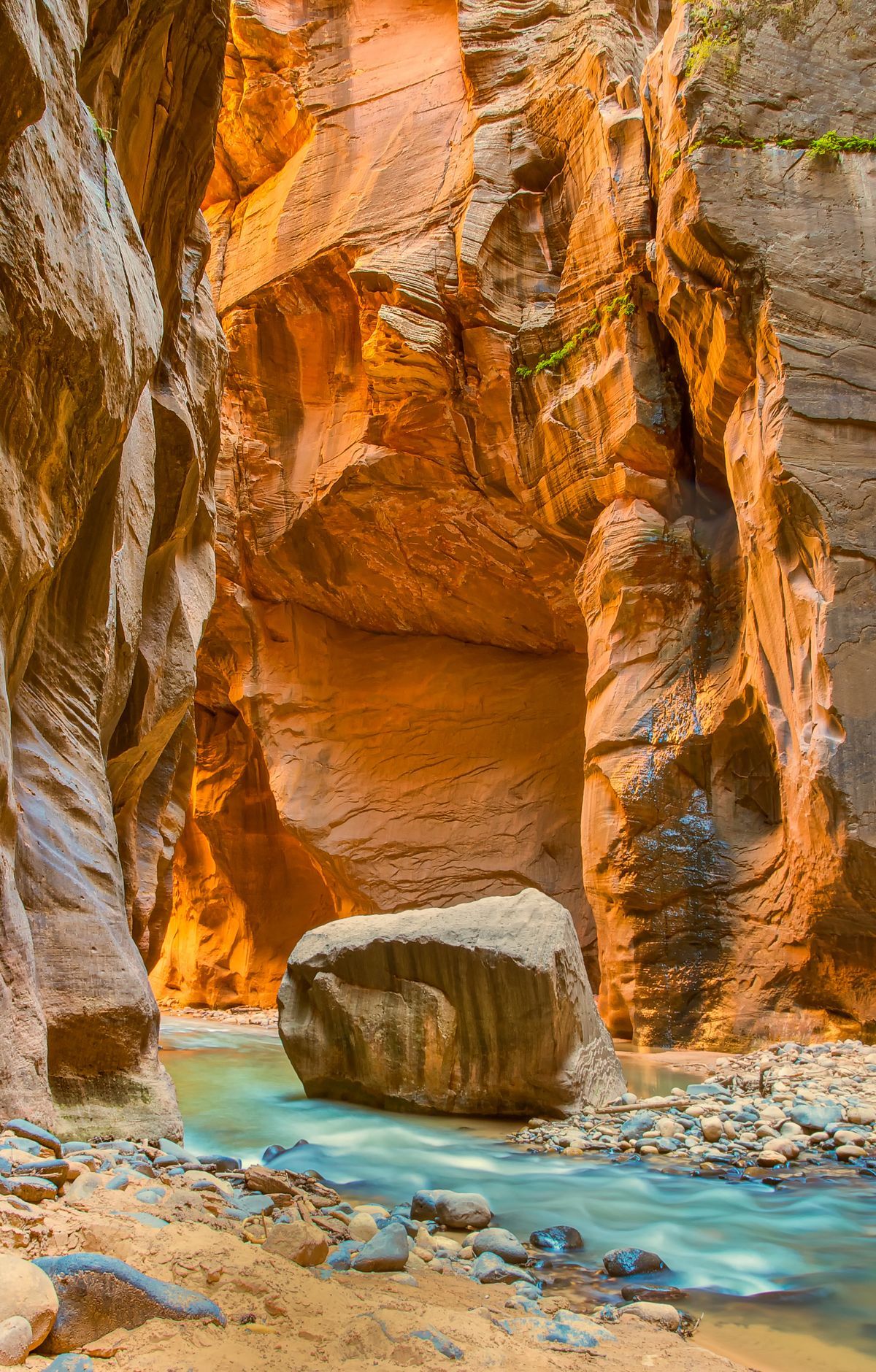 Zion - Gallery thumbnail 6