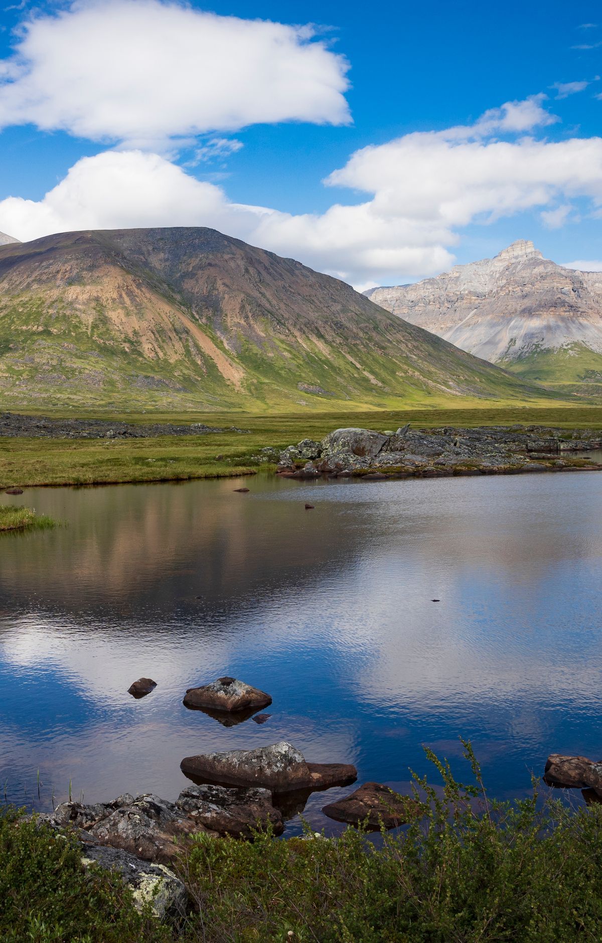Climbing Arrigetch, Doonerak and Igikpak, Gates Of The Arctic National Park & Preserve