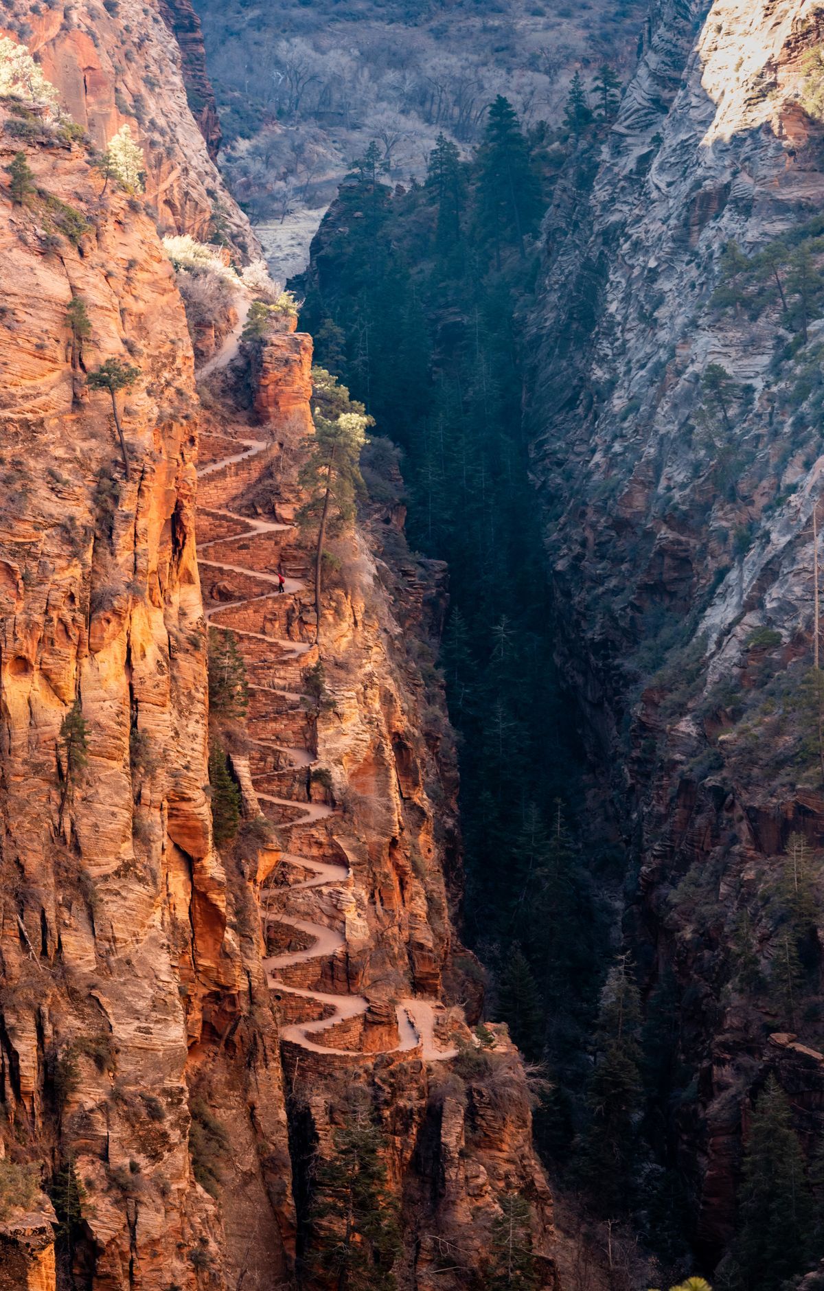 Zion - Gallery thumbnail 5