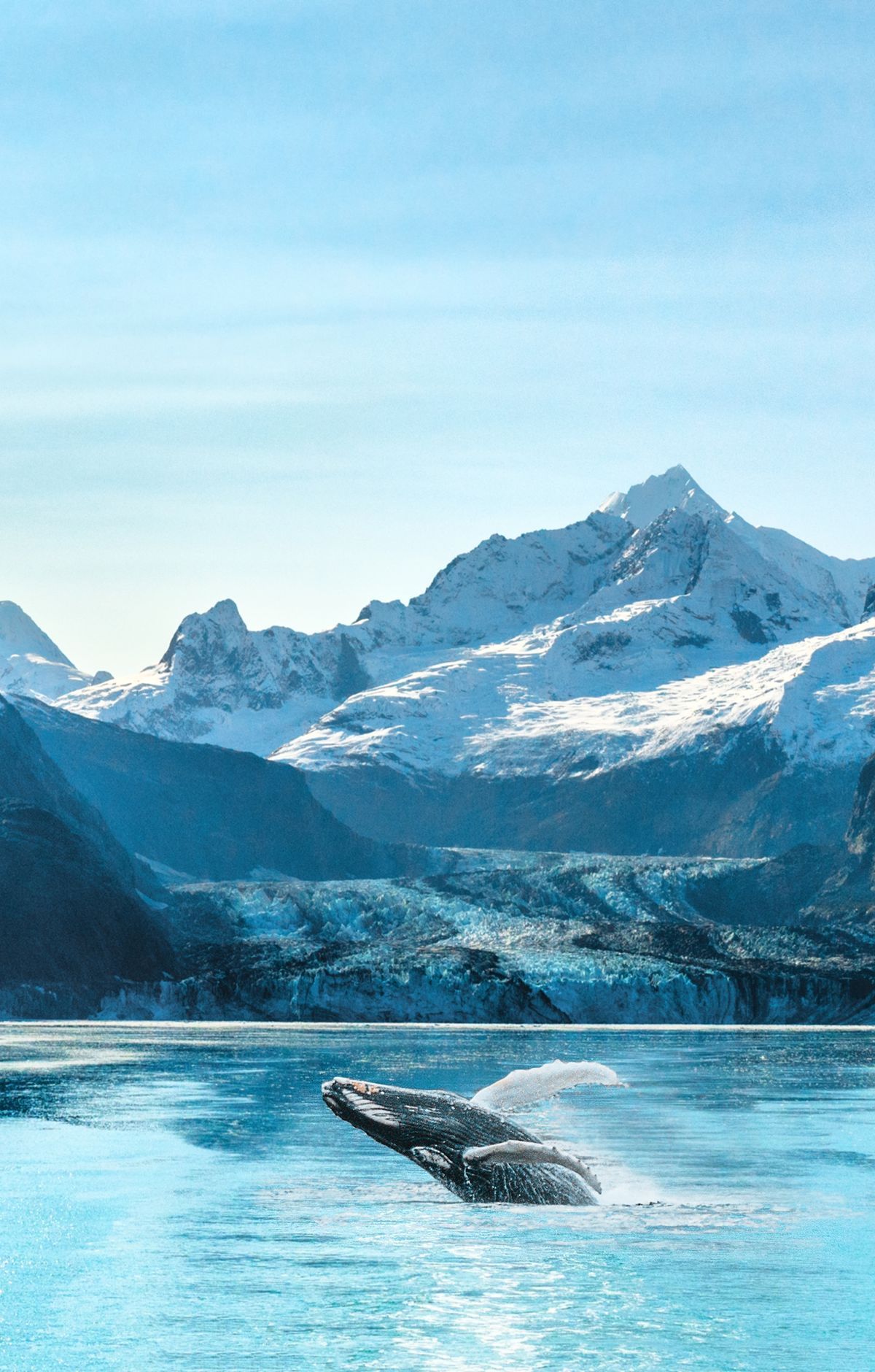 Whales, Seals and Otters of Glacier Bay, Glacier Bay National Park & Preserve
