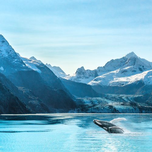 Glacier Bay