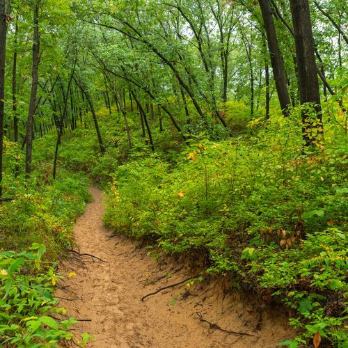 Cowles Bog