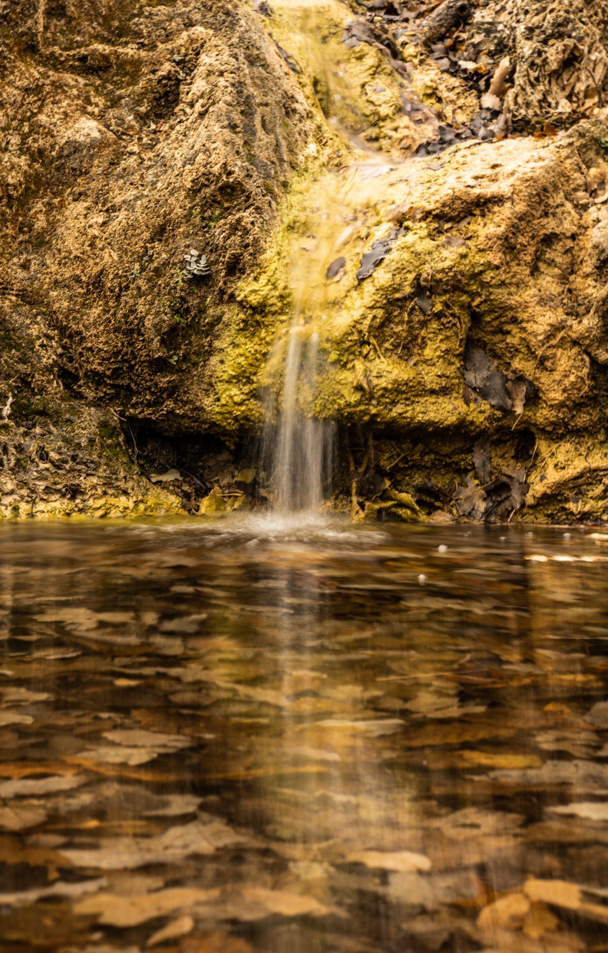 Guadalupe Mountains - Gallery thumbnail 2