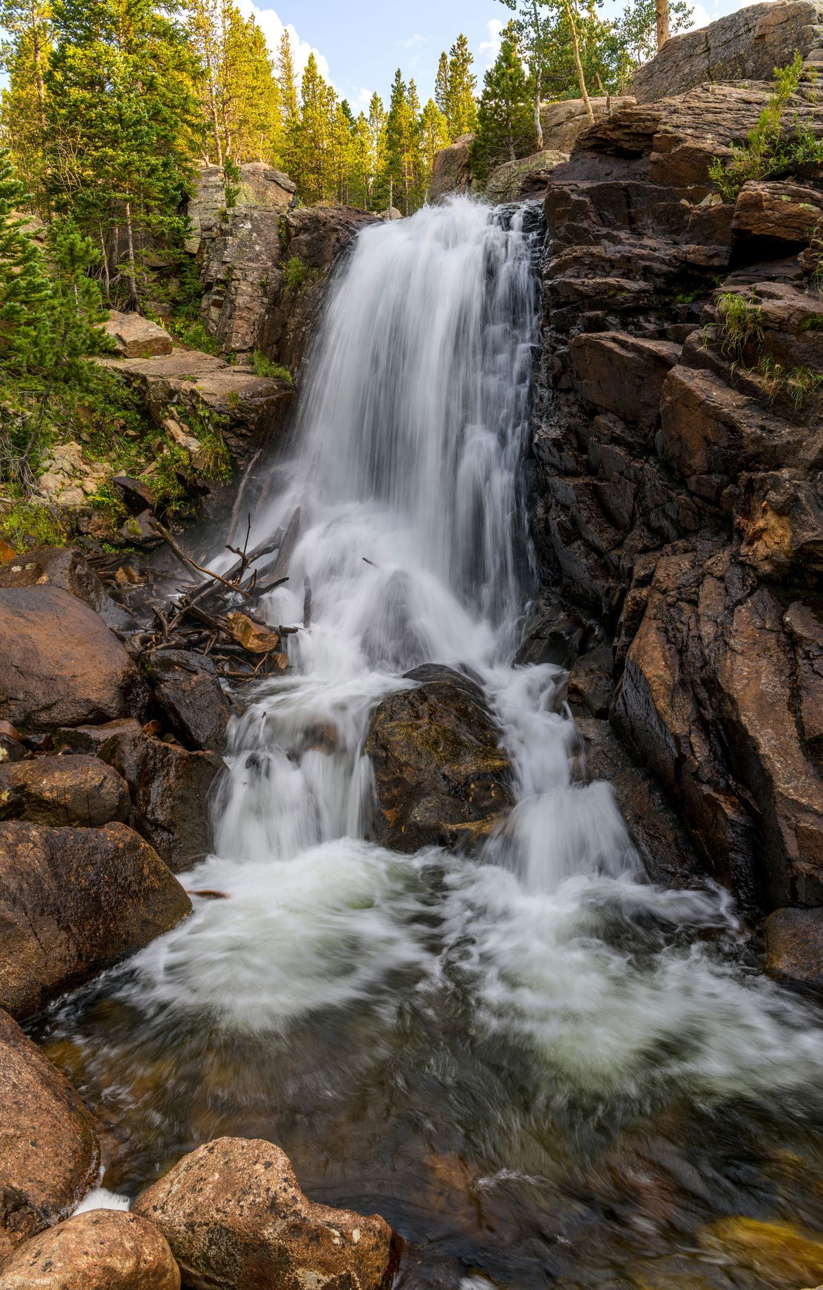 Rocky Mountain - Gallery thumbnail 7