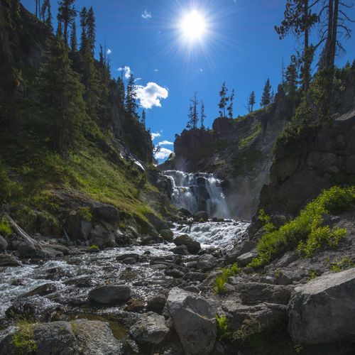 Fairy Creek Trail
