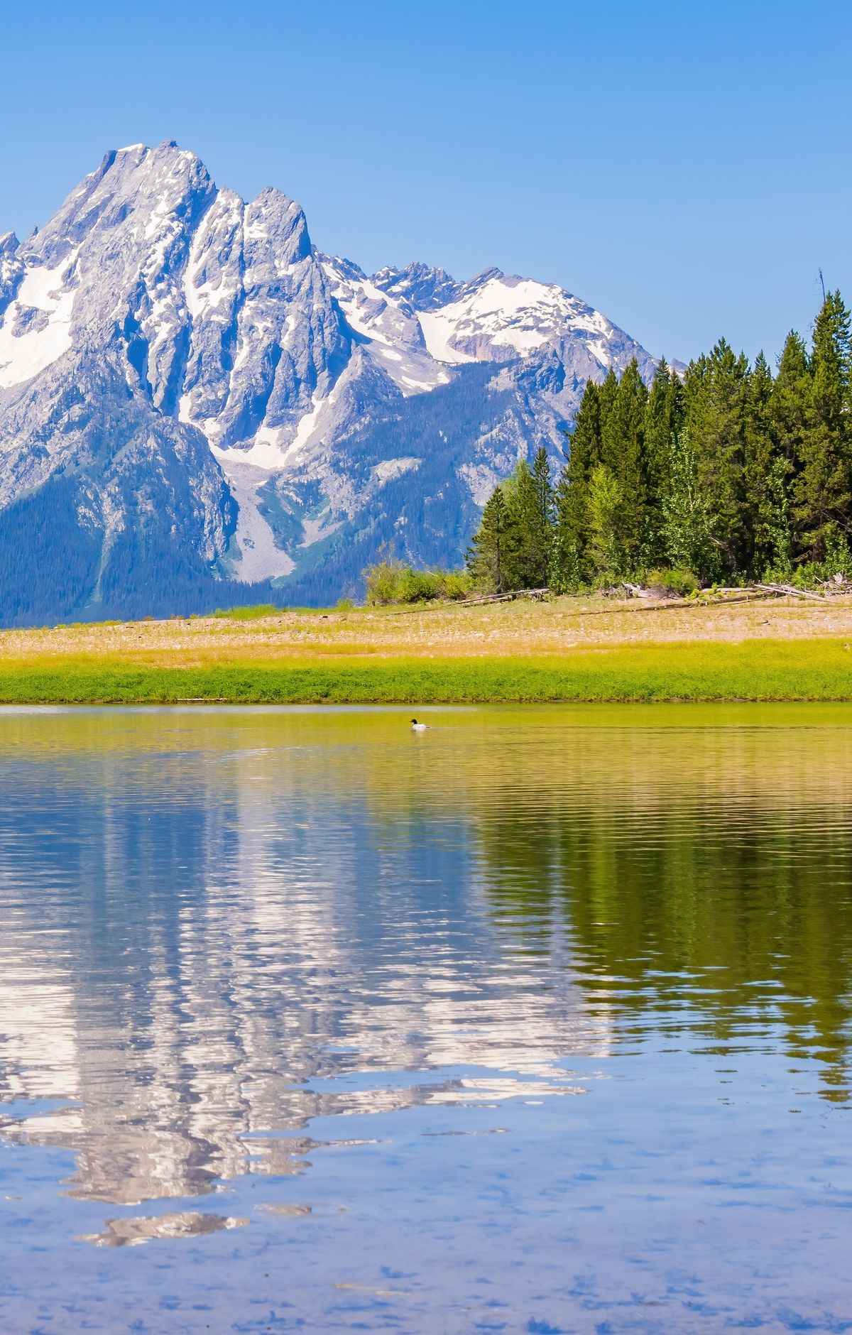 Boating Rules: Jackson, Jenny and String Lakes, Grand Teton National Park