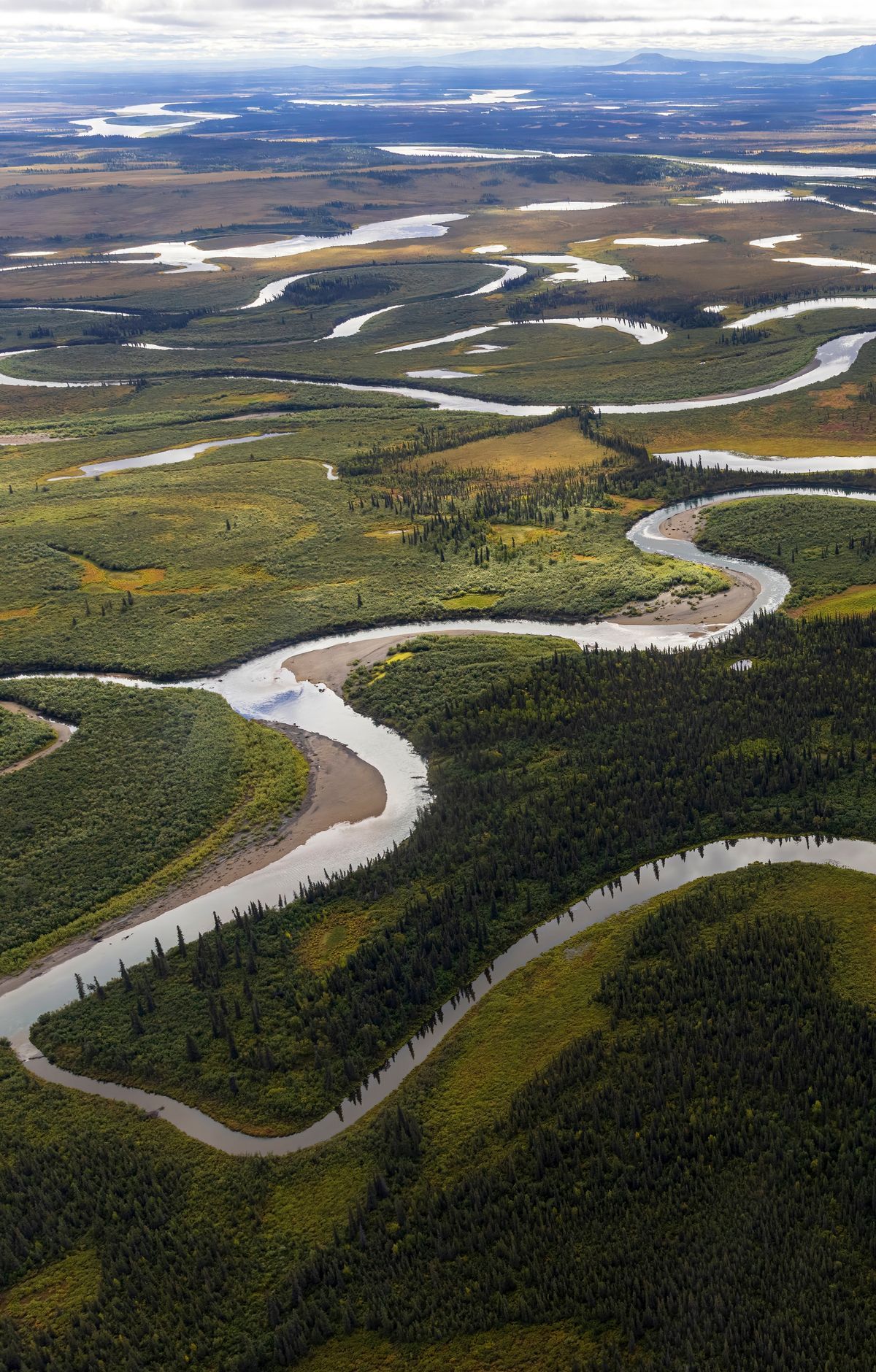 Caribou Crossings Between the Waring and Baird Mountains, Kobuk Valley National Park