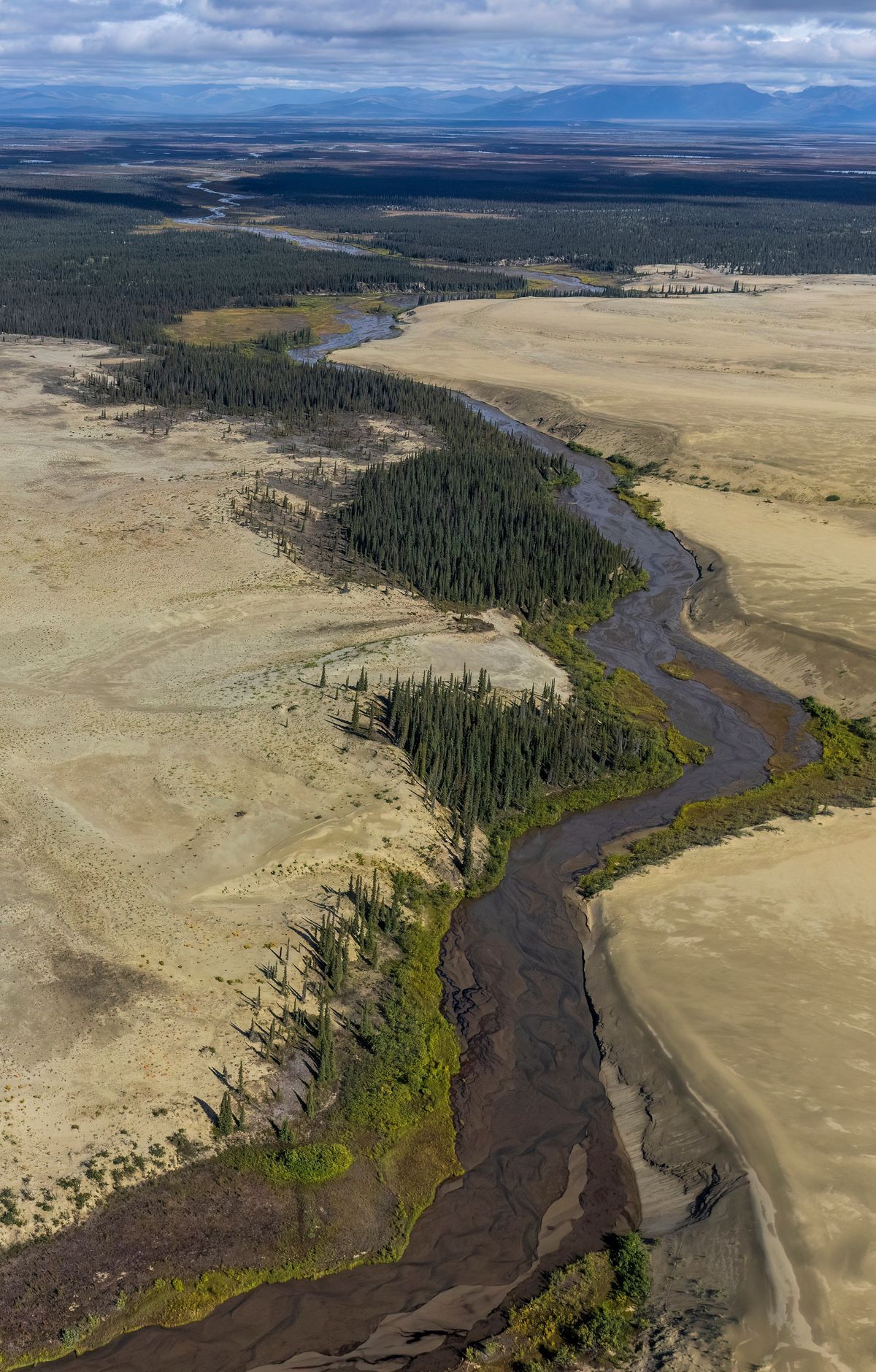 Camping on the Great Kobuk Sand Dunes, Kobuk Valley National Park