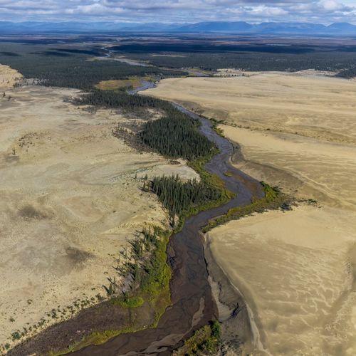 Great Kobuk Sand Dunes