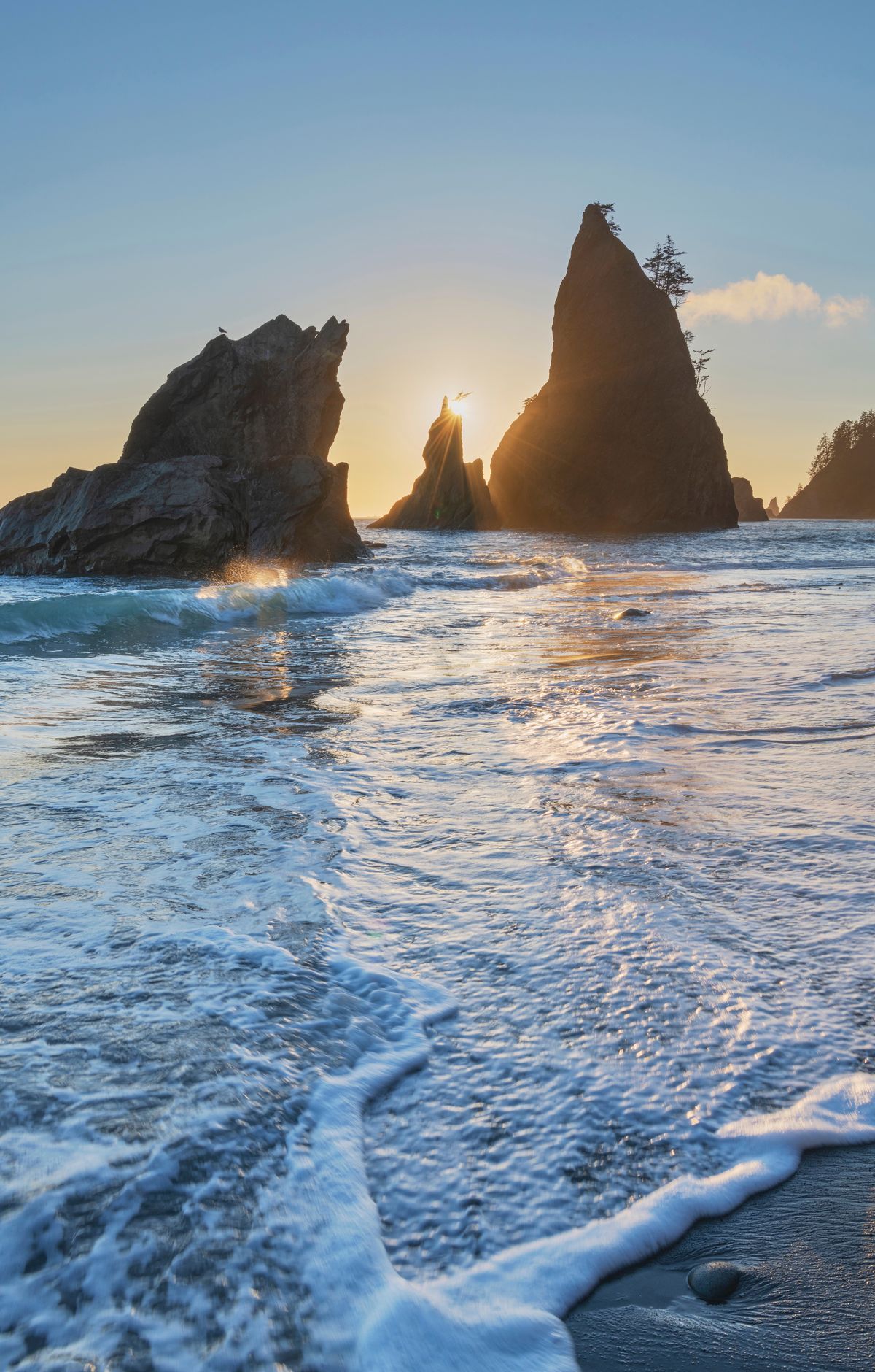 Eight Tribes of Olympic, from Hoh to Klallam, Olympic National Park