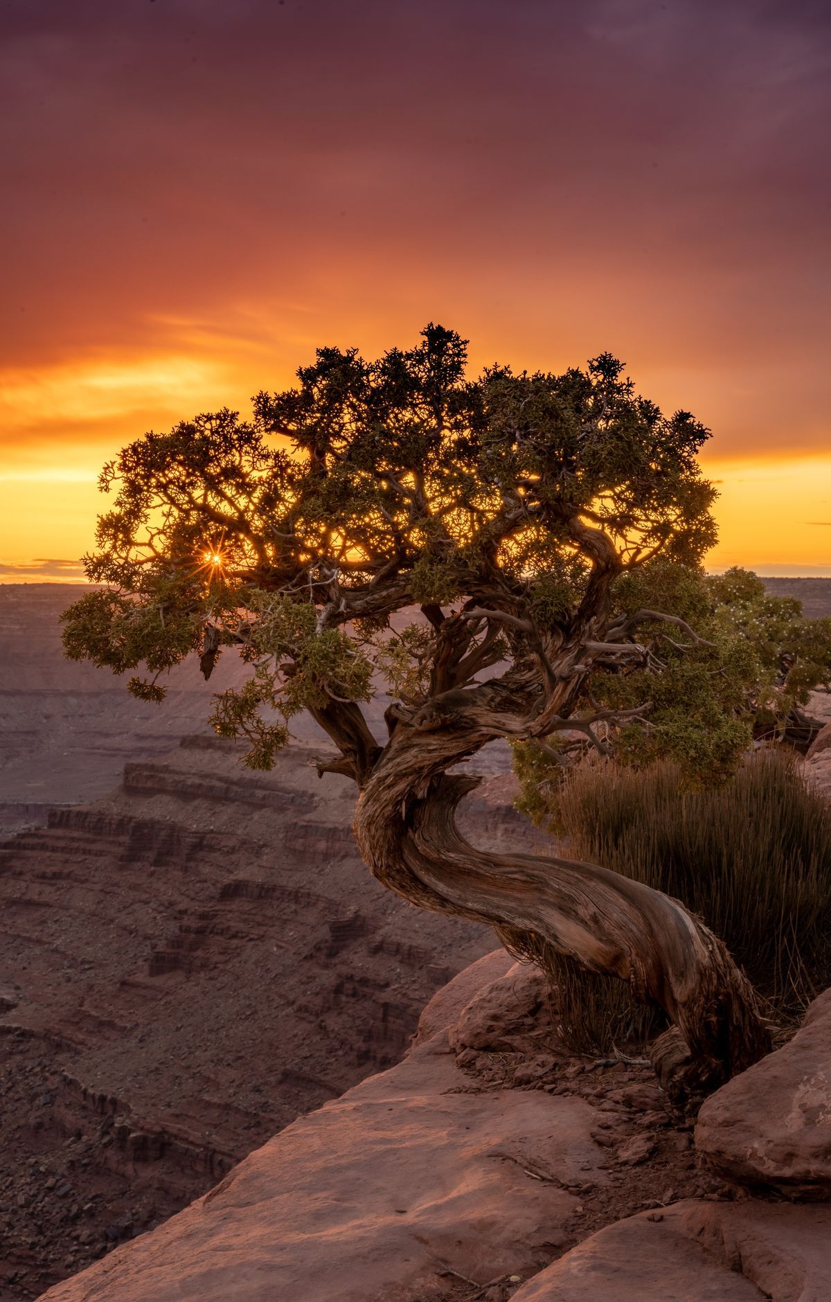 Canyonlands - Gallery thumbnail 3