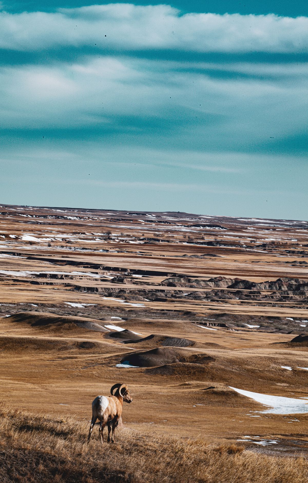 Badlands - Gallery thumbnail 6