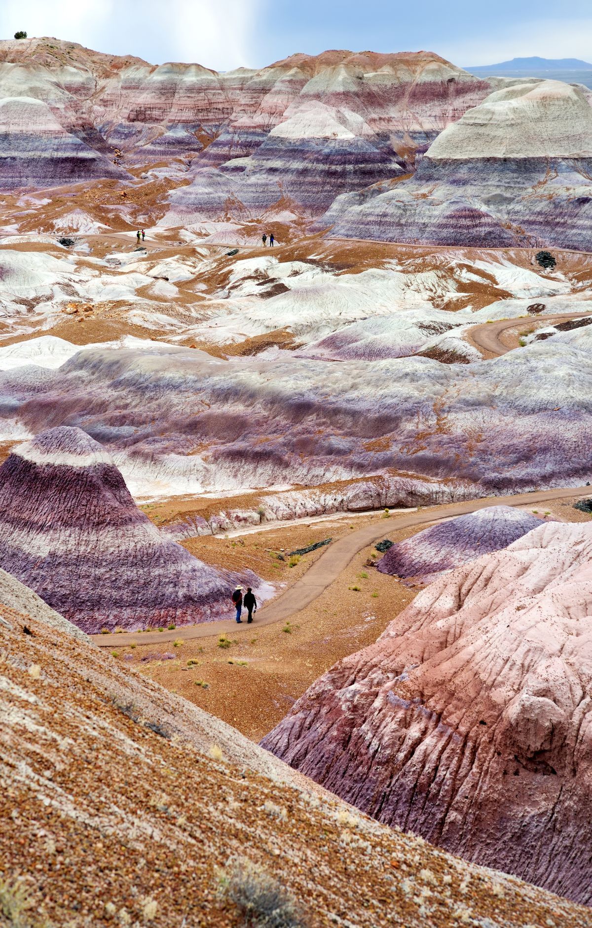Blue Mesa Loop Through Blue Badlands, Petrified Forest National Park