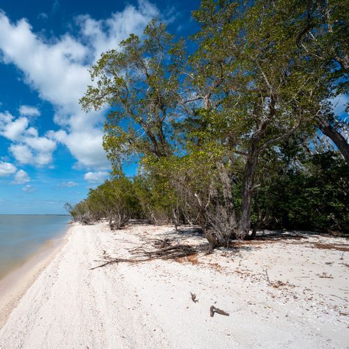 Gulf Coast