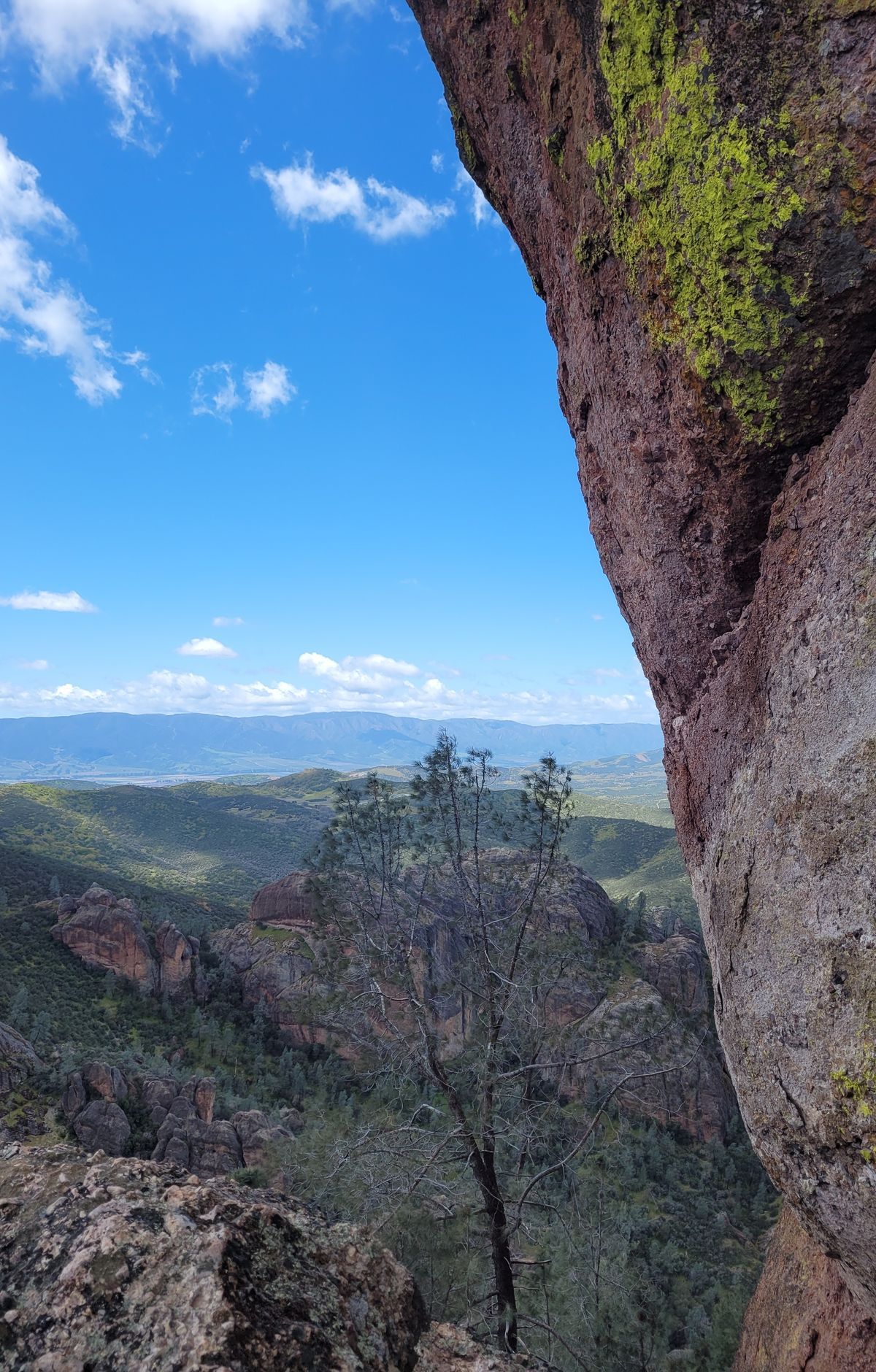 Climbing Volcanic Spires: Teaching Rock to Discovery Wall, Pinnacles National Park