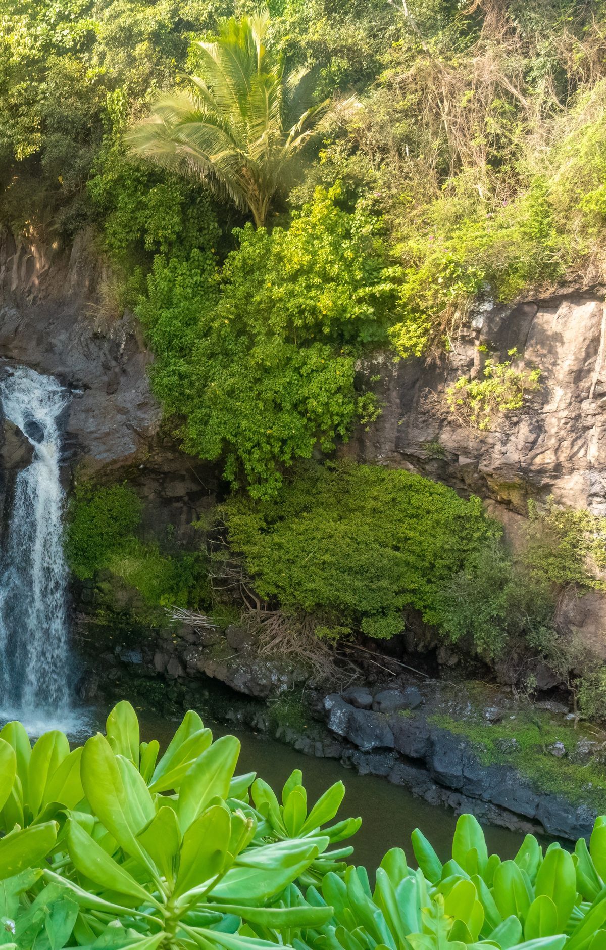 Kīpahulu's Pools at ʻOheʻo and Waterfall Hikes, Haleakalā National Park