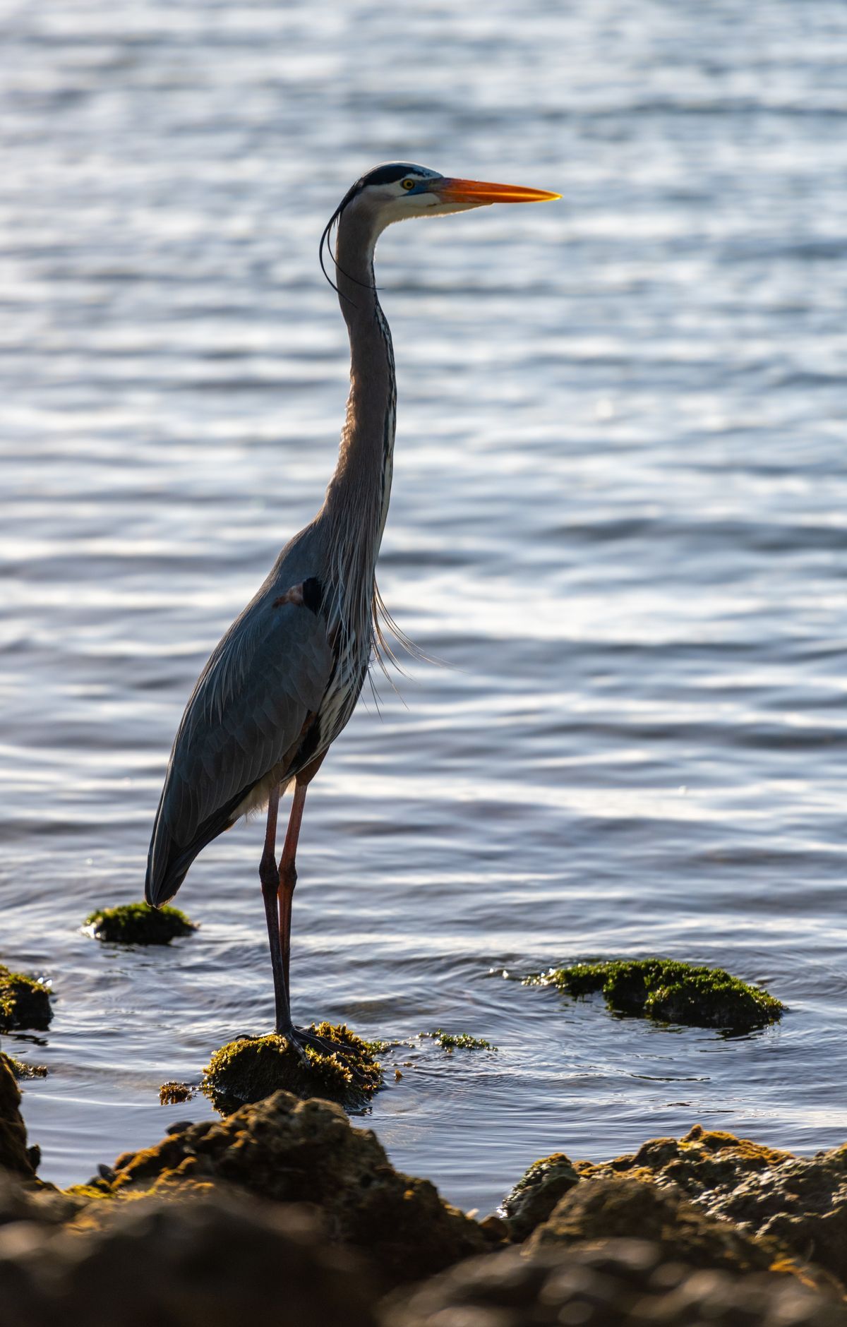 Biscayne - Gallery thumbnail 3