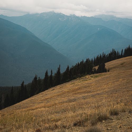 Hurricane Hill to Elwha River Valley