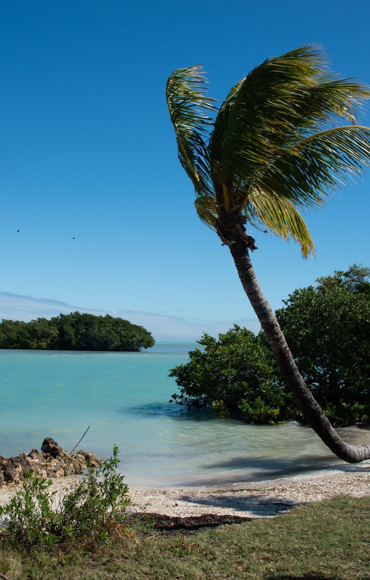 Elliott Key: Camping, Pets and Cold War Secrets, Biscayne National Park