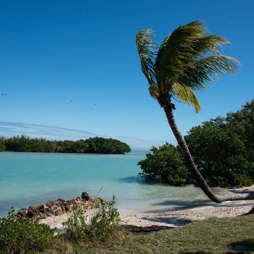 Biscayne