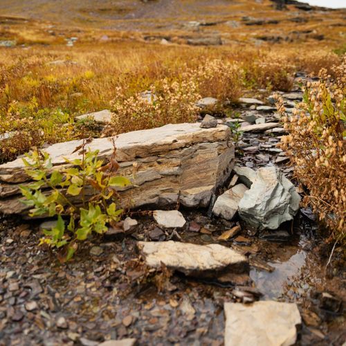 Hidden Falls Trail