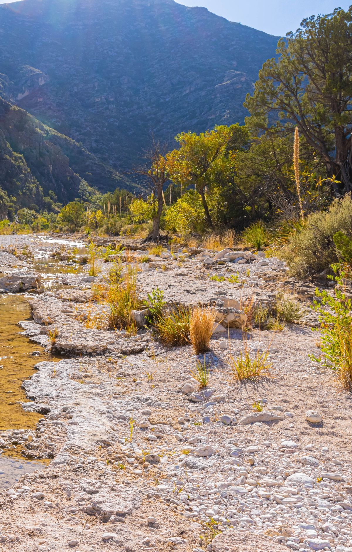 McKittrick Canyon to Pratt Cabin and the Grotto, Guadalupe Mountains National Park
