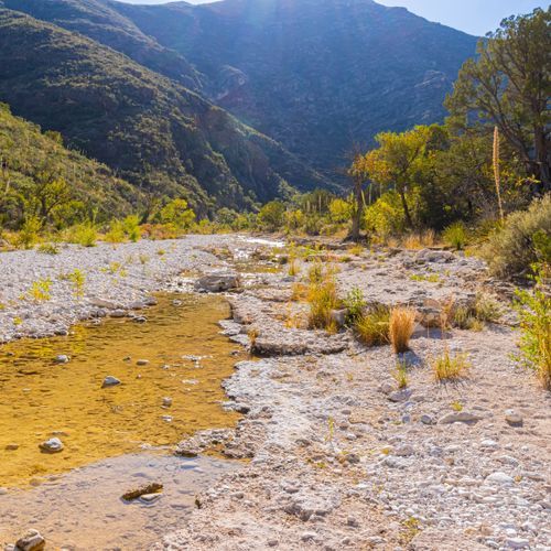 McKittrick Canyon