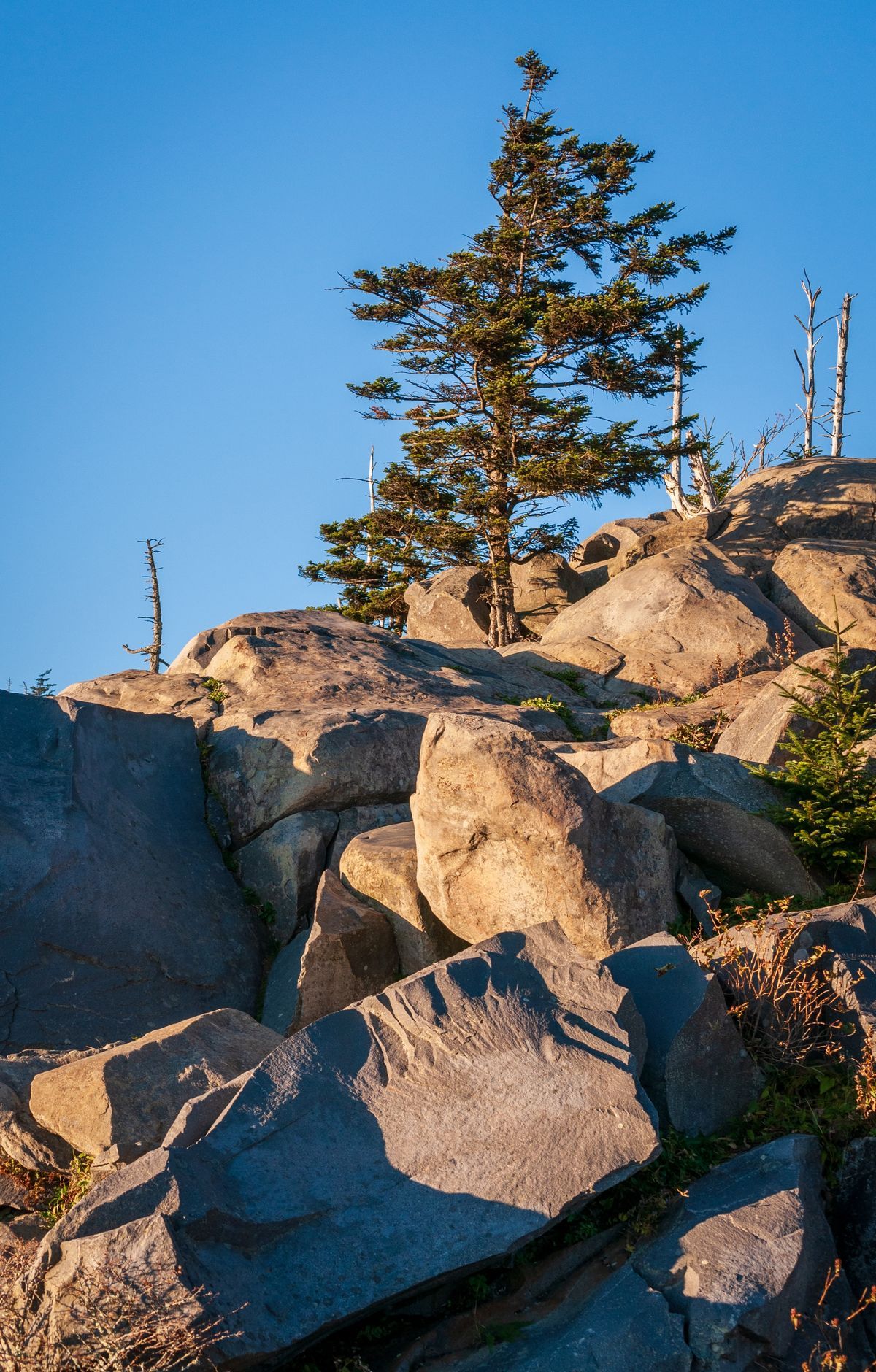 Great Smoky Mountains - Gallery thumbnail 4