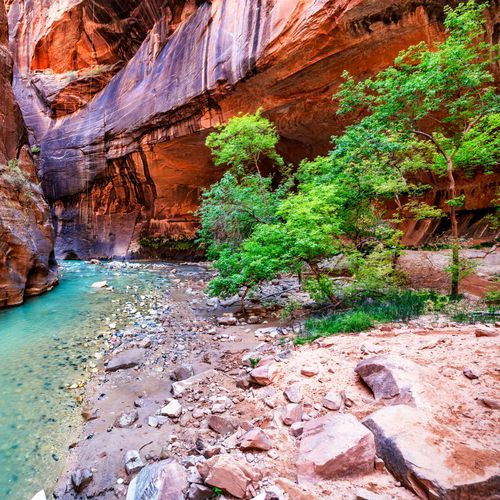Zion