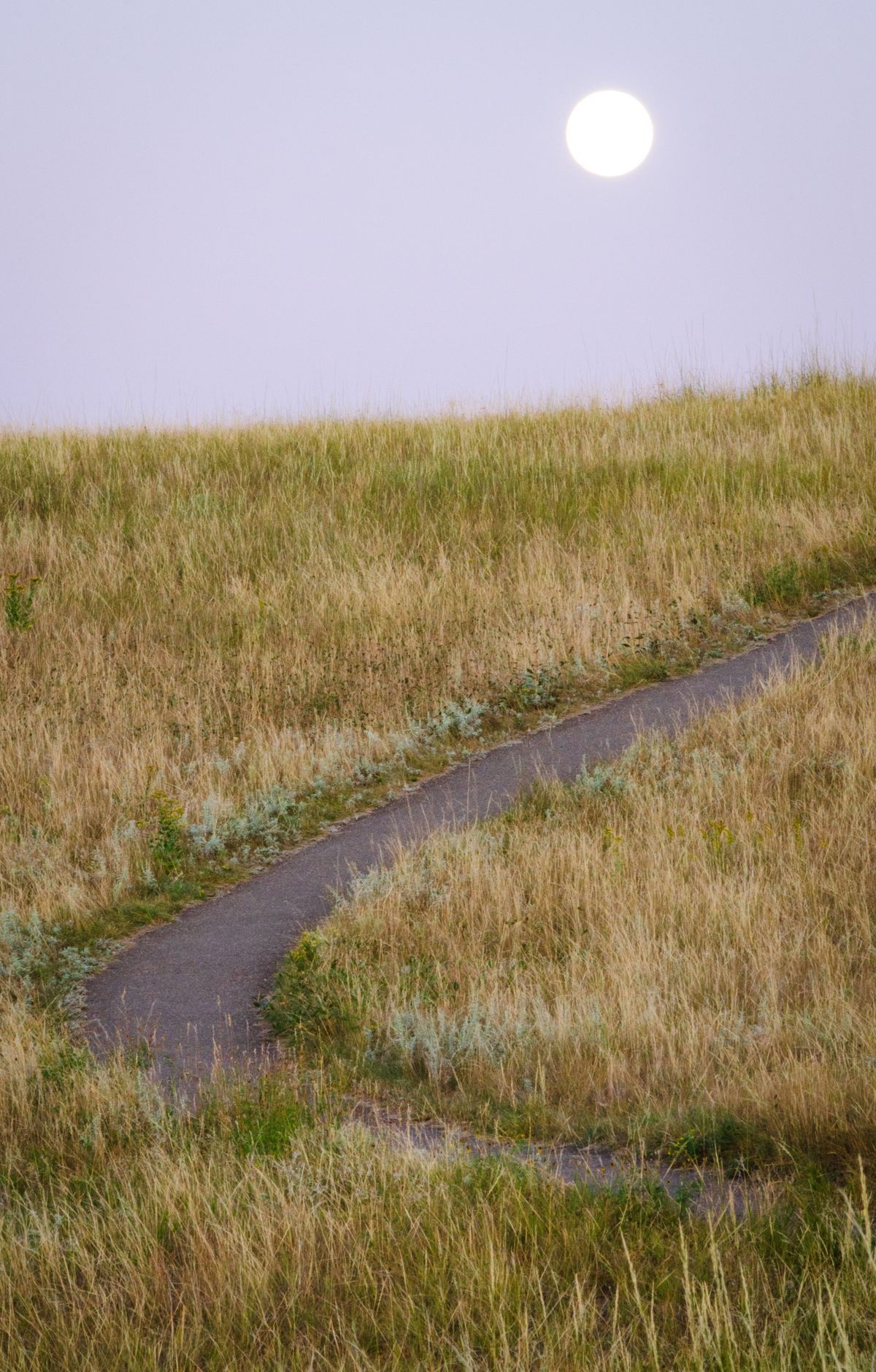 Theodore Roosevelt - Gallery thumbnail 4