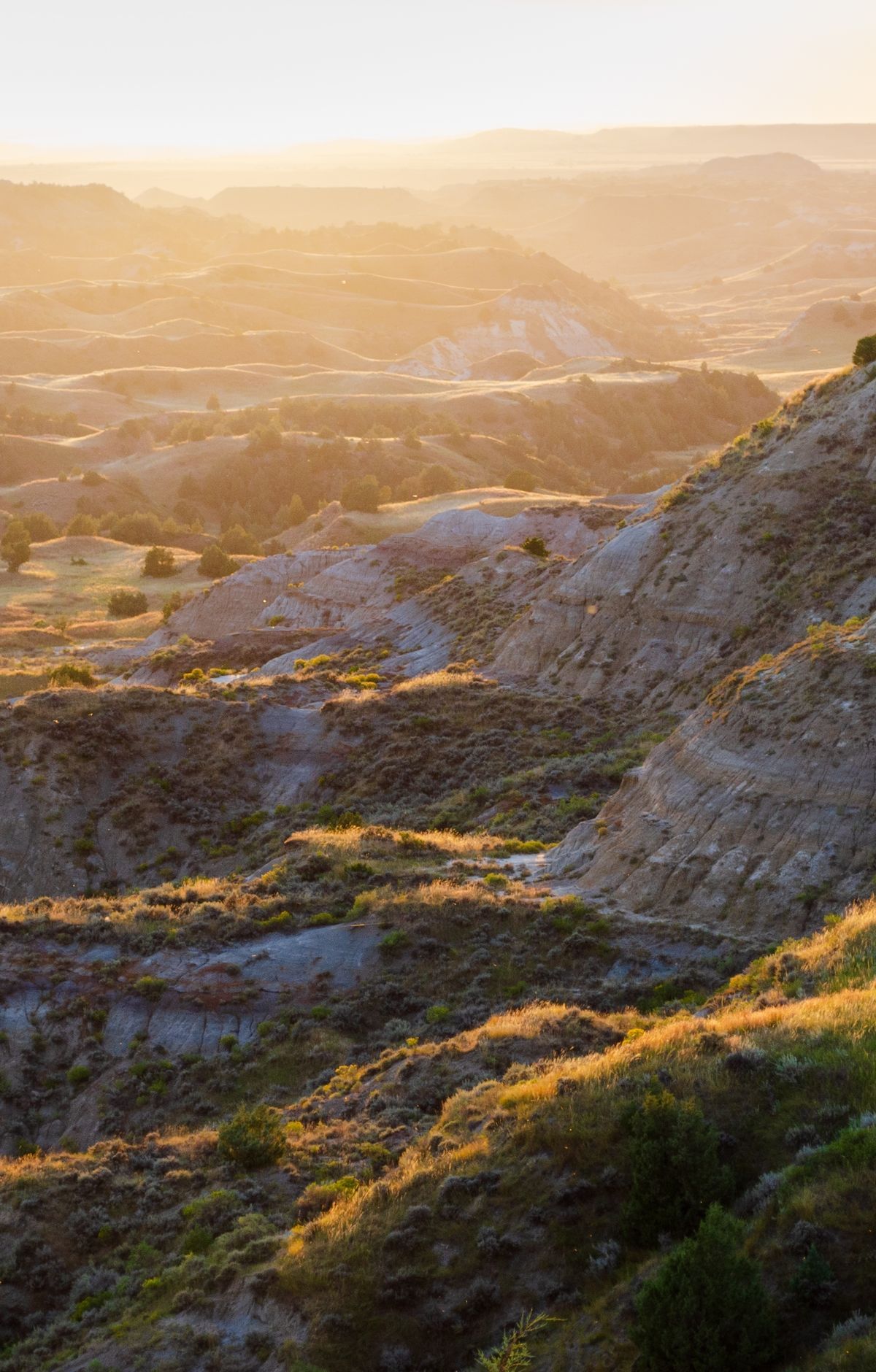 Maltese Cross Cabin and Roosevelt's Badlands Years, Theodore Roosevelt National Park